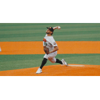 Long Island Ducks' Ryan Sandberg in action