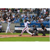 Bellingham Bells' Isaiah Afework at bat