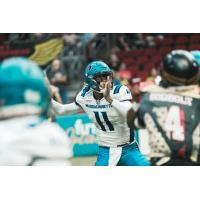 Massachusetts Pirates quarterback Kenji Bahar
