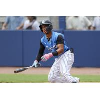 Tampa Tarpons in action