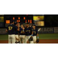 Myrtle Beach Pelicans exchange congratulations after a win