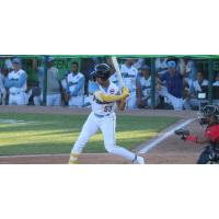 Myrtle Beach Pelicans shortstop Yahil Melendez at bat
