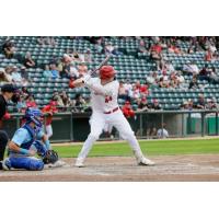 Matthew Warkentin at bat for the Winnipeg Goldeyes
