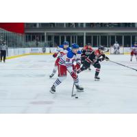Forward Aiden Grossklaus with the Des Moines Buccaneers