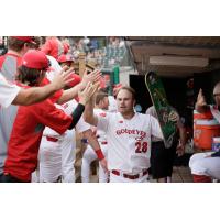 Tanner O'Tremba of the Winnipeg Goldeyes receives high fives in the dugout