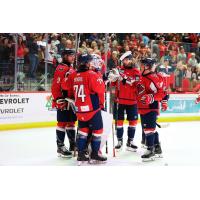 South Carolina Stingrays huddle