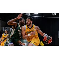 Saskatchewan Rattlers battle the Brampton Honey Badgers
