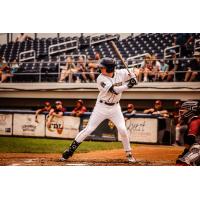 Fond du Lac Dock Spiders' Matt Hansen at bat