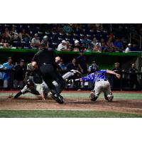 White Debuts, Wahoos Fall in Wild 10-Inning Finish