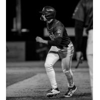 Tri-City Dust Devils in action