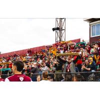 Detroit City FC supporters