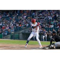 Roby Enríquez at bat for the Winnipeg Goldeyes