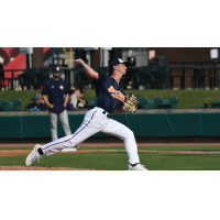 Down East Bird Dawgs deliver a pitch