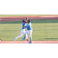 Eli Lovich of the Myrtle Beach Pelicans receives a high five following his home run