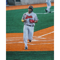Long Island Ducks catcher Ronaldo Flores
