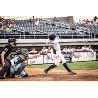 Patrick Graham of the Fond du Lac Dock Spiders with a big swing