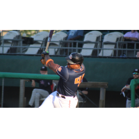 Down East Bird Dawgs first baseman Emmanuel Tapia