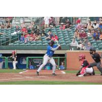 Biloxi Shuckers catcher Zavier Warren