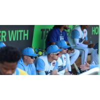 Myrtle Beach Pelicans dugout