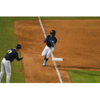 Brennon McNair of the Columbia Fireflies heads home after his walk-off home run