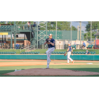 Down East Bird Dawgs set to deliver a pitch