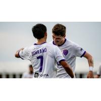 Louisville City FC celebrate a goal