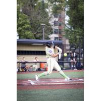 Mankato Habaneros at the plate