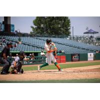 Greensboro Grasshoppers infielder Konnor Griffin