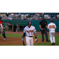 Down East Bird Dawgs walk away from home plate
