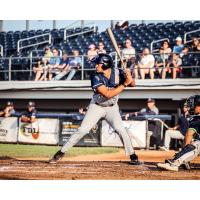 Fond du Lac Dock Spiders' James Hankerson Jr. at bat
