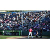Everett AquaSox' Luis Suisbel at bat