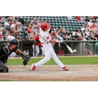 Andy Armstrong of the Winnipeg Goldeyes at bat