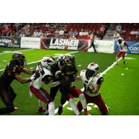 Jacksonville Sharks defense swarms the Iowa Barnstormers