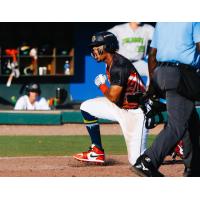 Charleston RiverDogs third baseman Jose Monzon