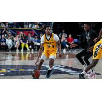 Edmonton Stingers guard Sean East II