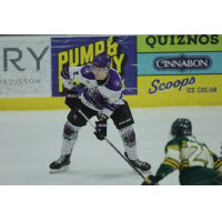 Defenseman Jack Hamilton with the Tri-City Storm