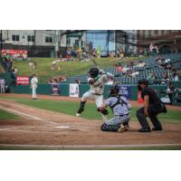 Greensboro Grasshoppers designated hitter Shalin Polanco