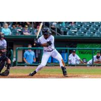 Montgomery Biscuits outfielder Homer Bush Jr.