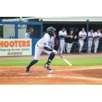 Willy Montero of the Tampa Tarpons