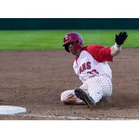 Ottawa Titans catcher Victor Cerny