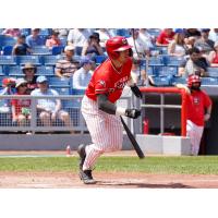 Ottawa Titans catcher Victor Cerny