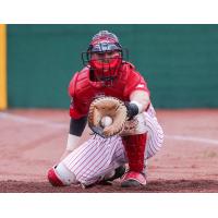 Ottawa Titans catcher Victor Cerny