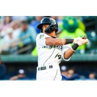 Asbel Gonzalez at bat for the Columbia Fireflies