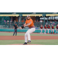 Down East Bird Dawgs pitcher Spencer Johnston