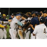 Charleston RiverDogs celebrate a walk-off win