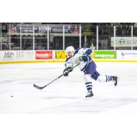 Maine Mariners defenseman Justin Bean