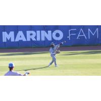 Myrtle Beach Pelicans throw the ball in from the outfield