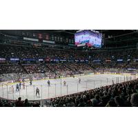 A crowd at Van Andel Arena to watch the Grand Rapids Griffins