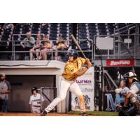 Fond du Lac Dock Spiders' James Hankerson Jr. at bat