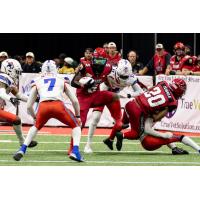 Jacksonville Sharks running back Larry McCammon carries against the San Antonio Gunslingers